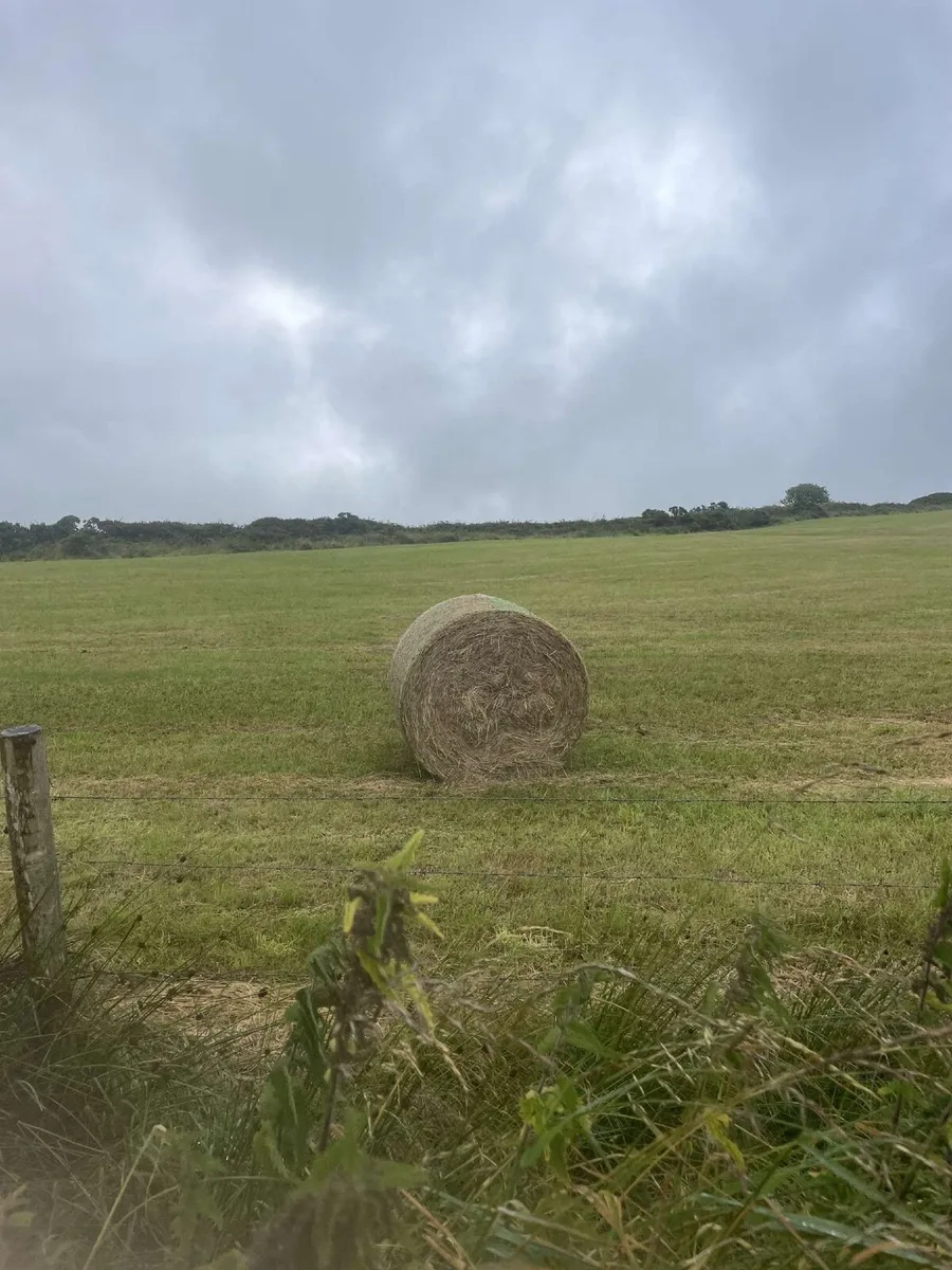 Bales - Image 1