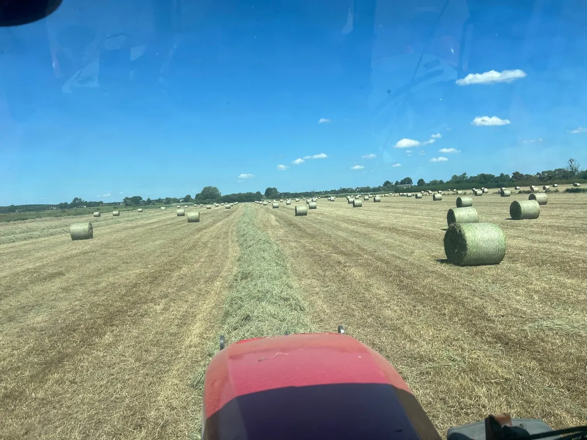 Hay - Image 3