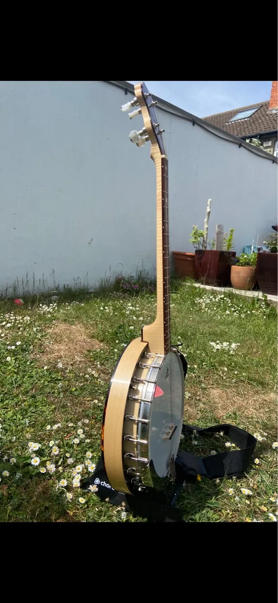 Clareen Special Tenor Banjo - Image 3