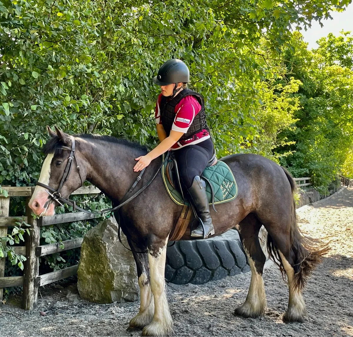 Genuine very quiet Cob - Image 2
