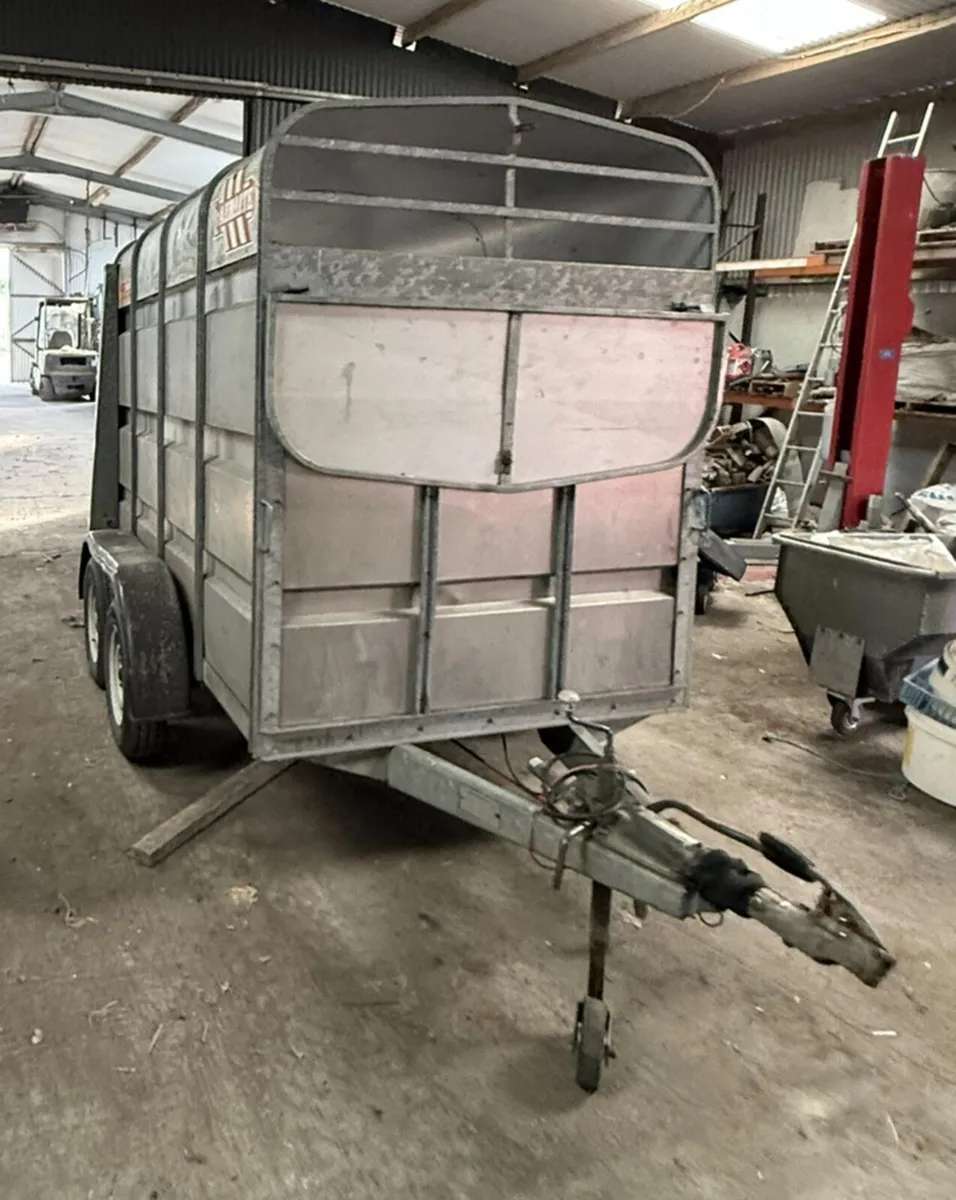 Aerolite sheep / cattle trailer - Image 2