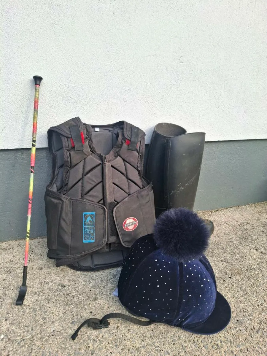 Horse equipment - Image 1