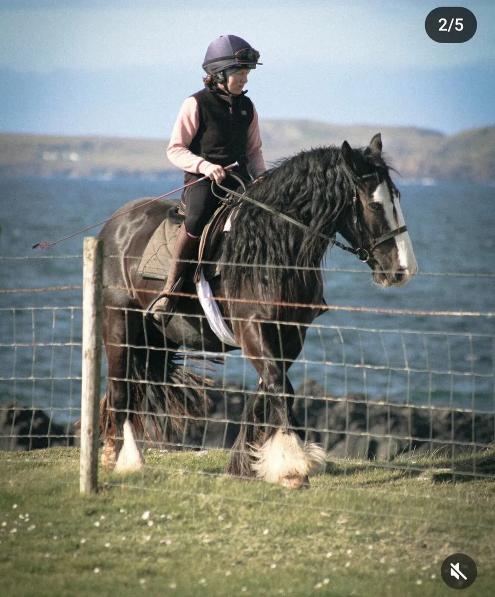 Lady ⭐️ Show Quality and Super hacking cob ⭐️ - Image 4