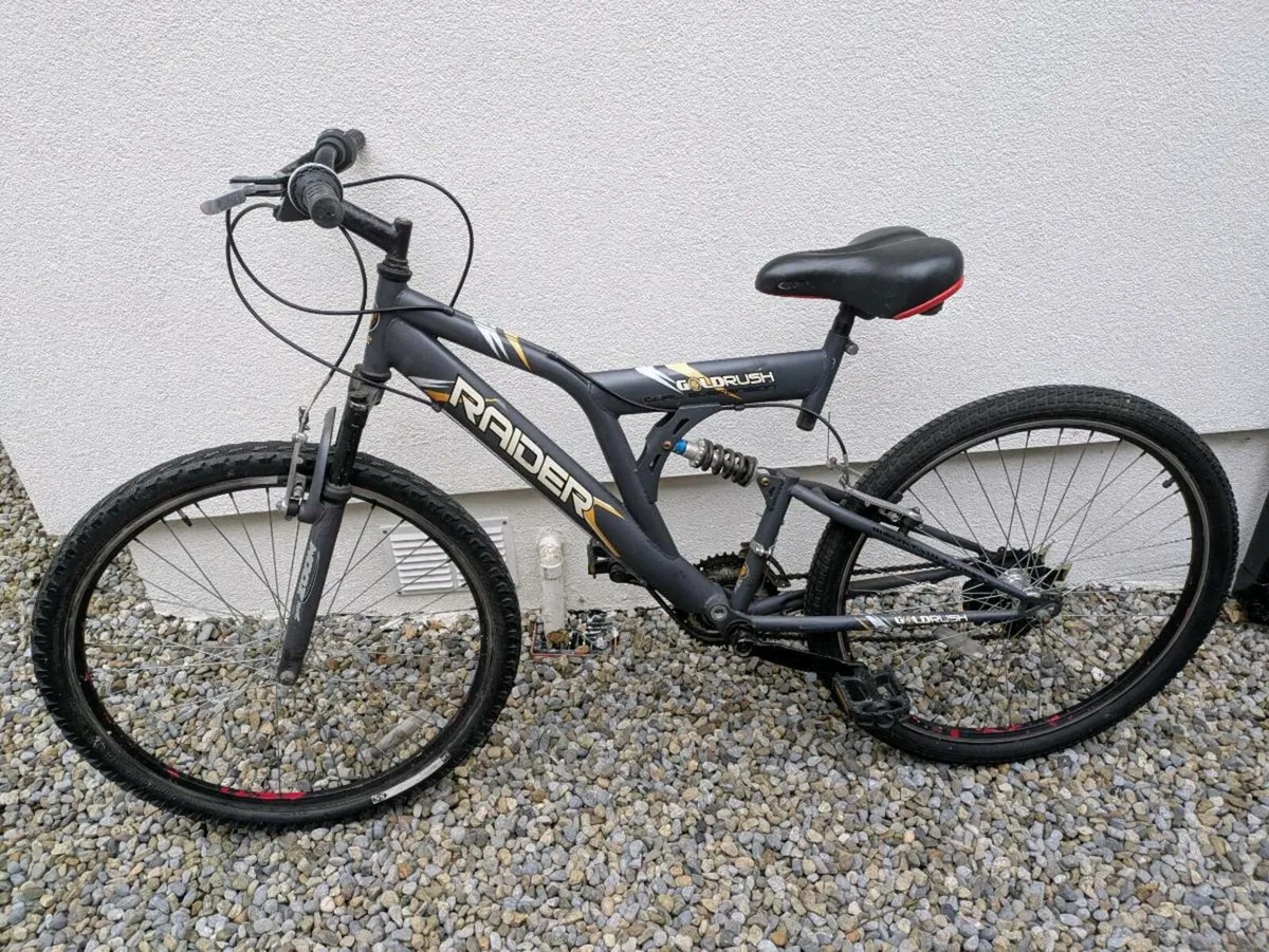 Ladies bike - Image 1