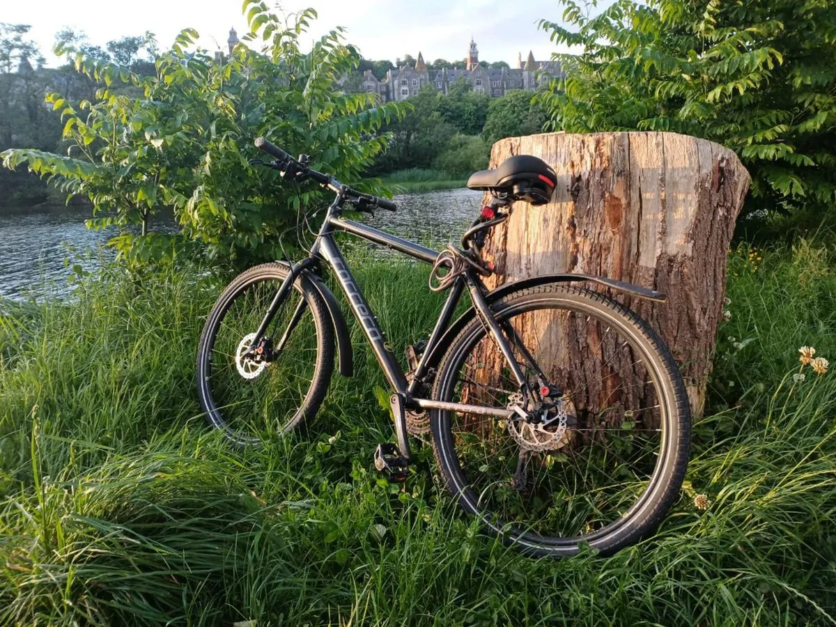 Bicycle - Image 1
