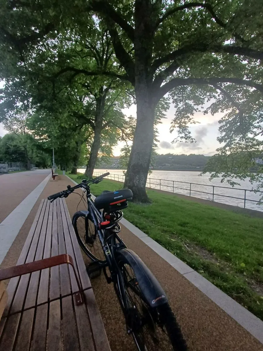 Bicycle - Image 4