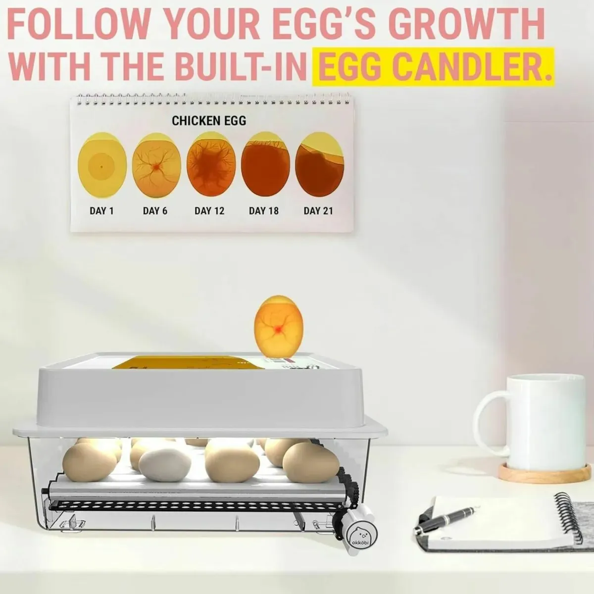 36 Egg Automatic Incubator with Temp Control - Image 4