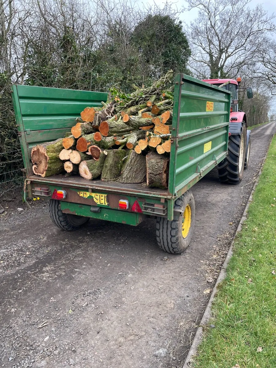 Tree services - Image 1