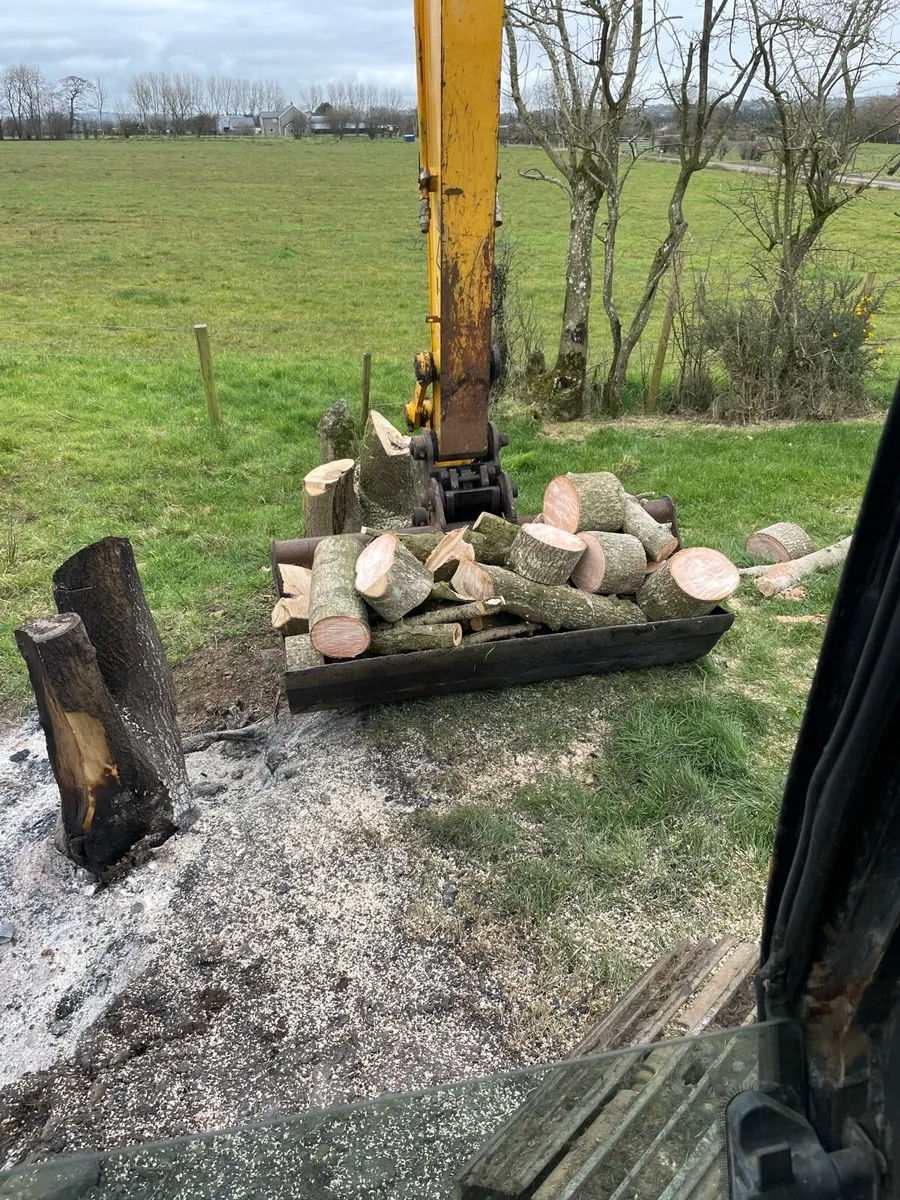 Tree services - Image 2