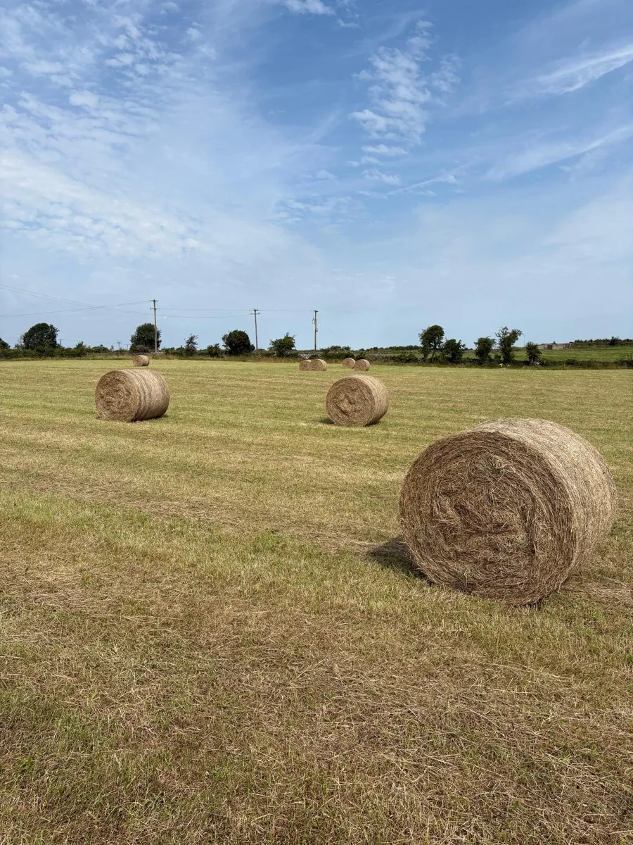 Hay Bales - Image 1