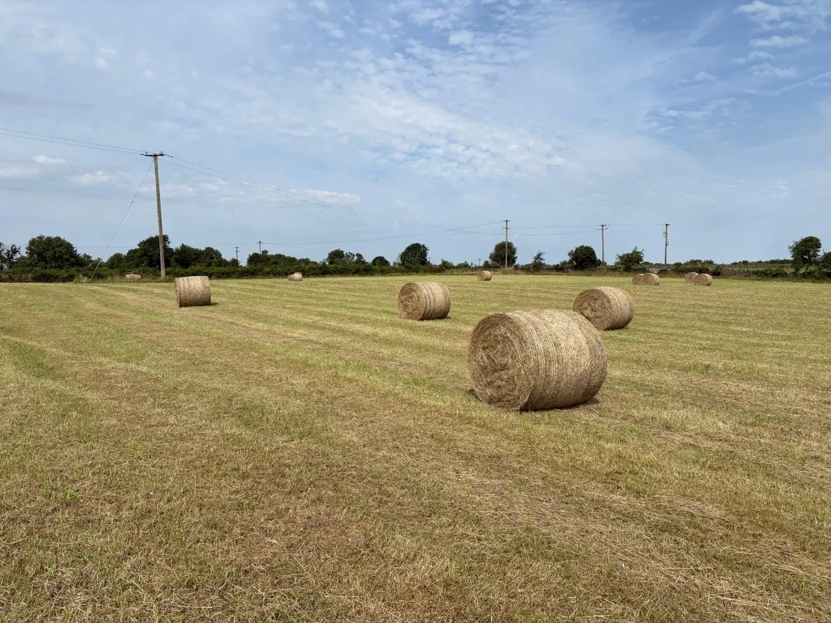 Hay Bales - Image 3