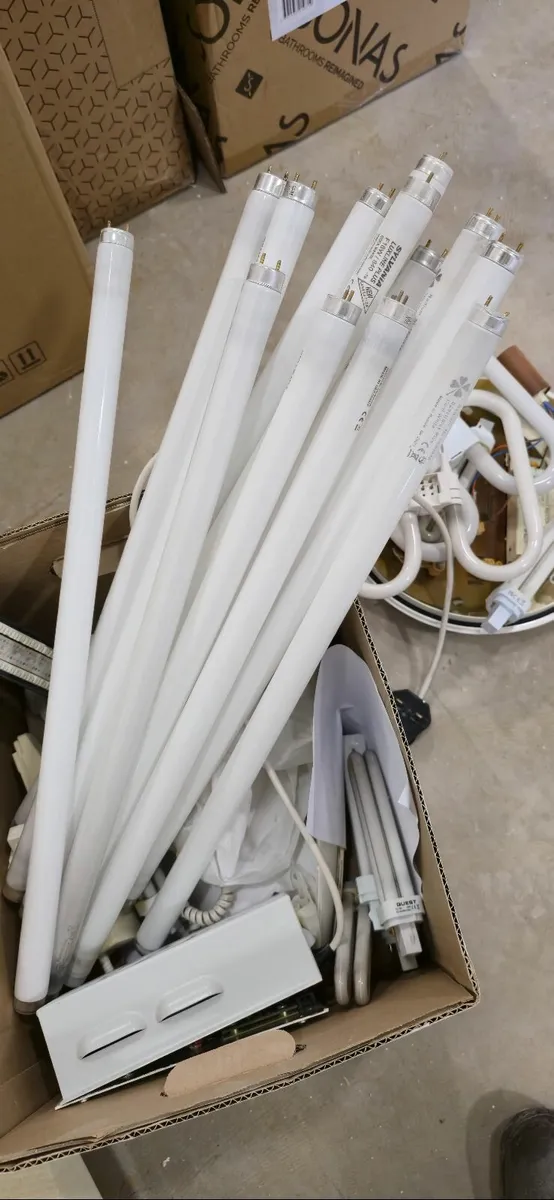 Light bulbs - Image 3