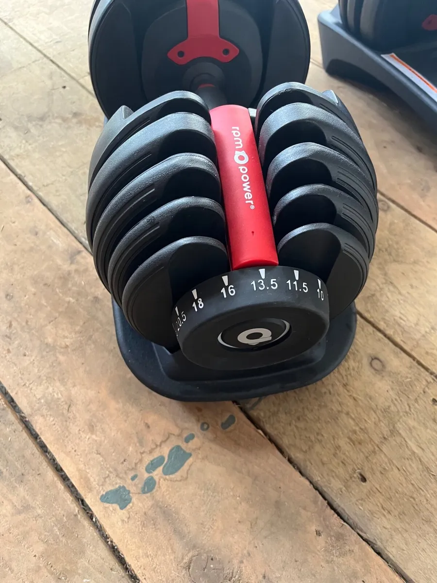 weights and bench - Image 4