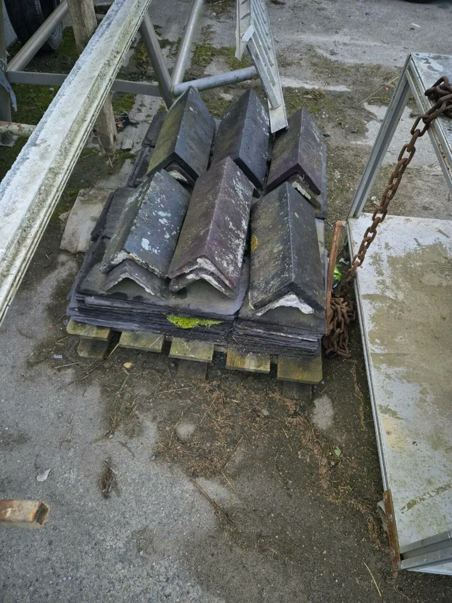 Ridge caps - Image 1