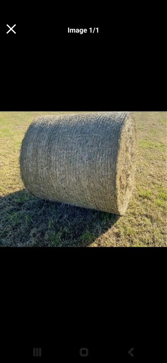 Hay for sale - Image 1