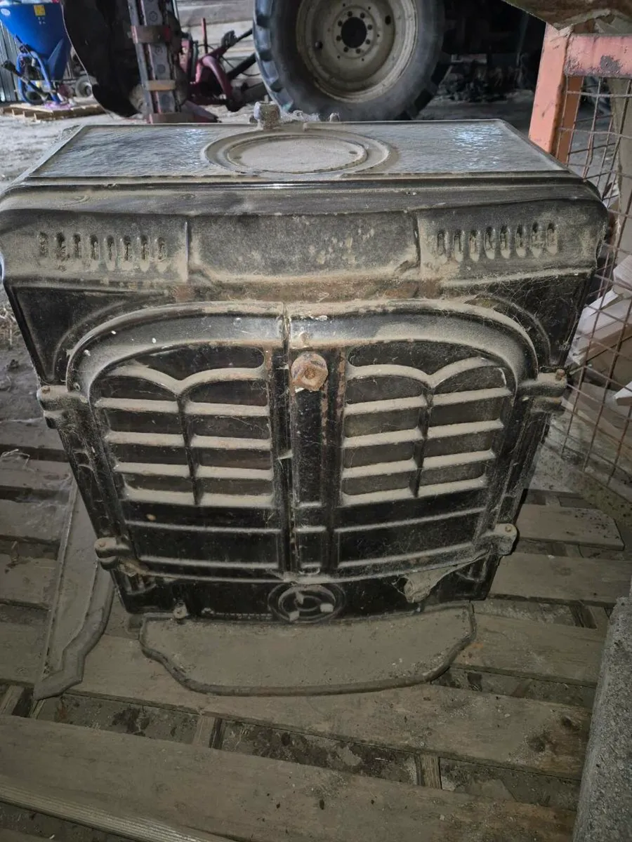 solid fuel stove - Image 1