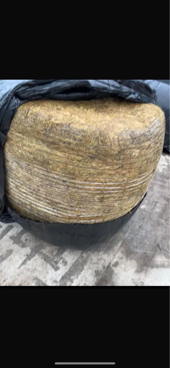Bales