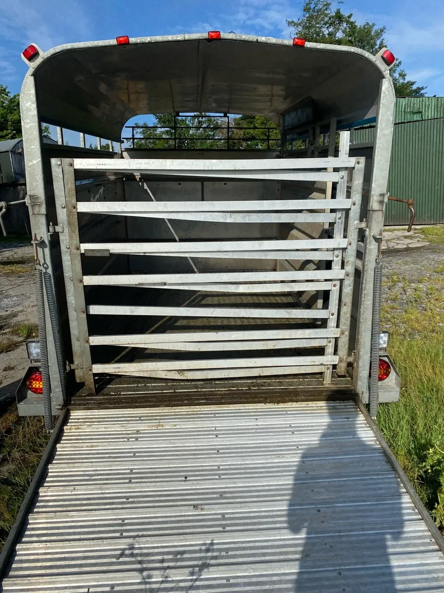Tuff Mac 10by6 livestock trailer - Image 4