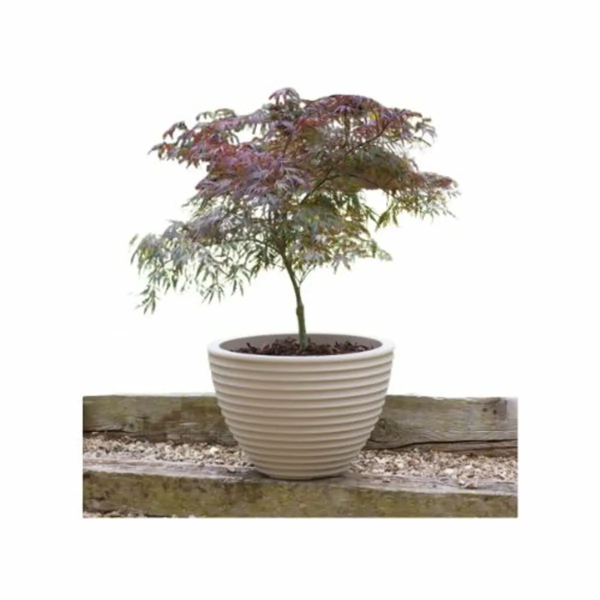 Pots & Planters Low Honey Pot Planter