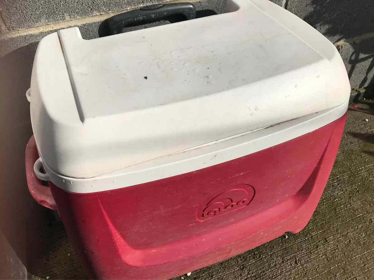 Igloo cool box - Image 1