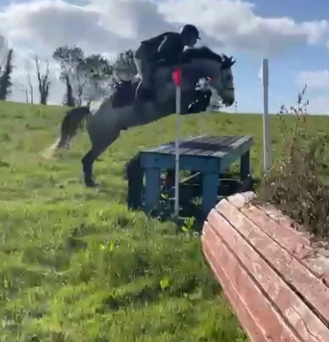 148 5yo Connemara Gelding - Image 4