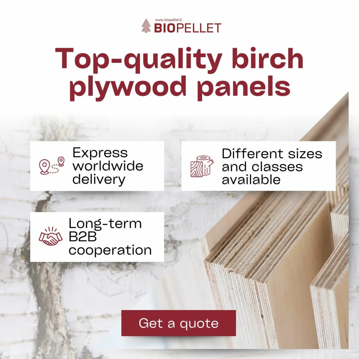 Premium Birch Plywood – Bulk Trade Only B2B - Image 1