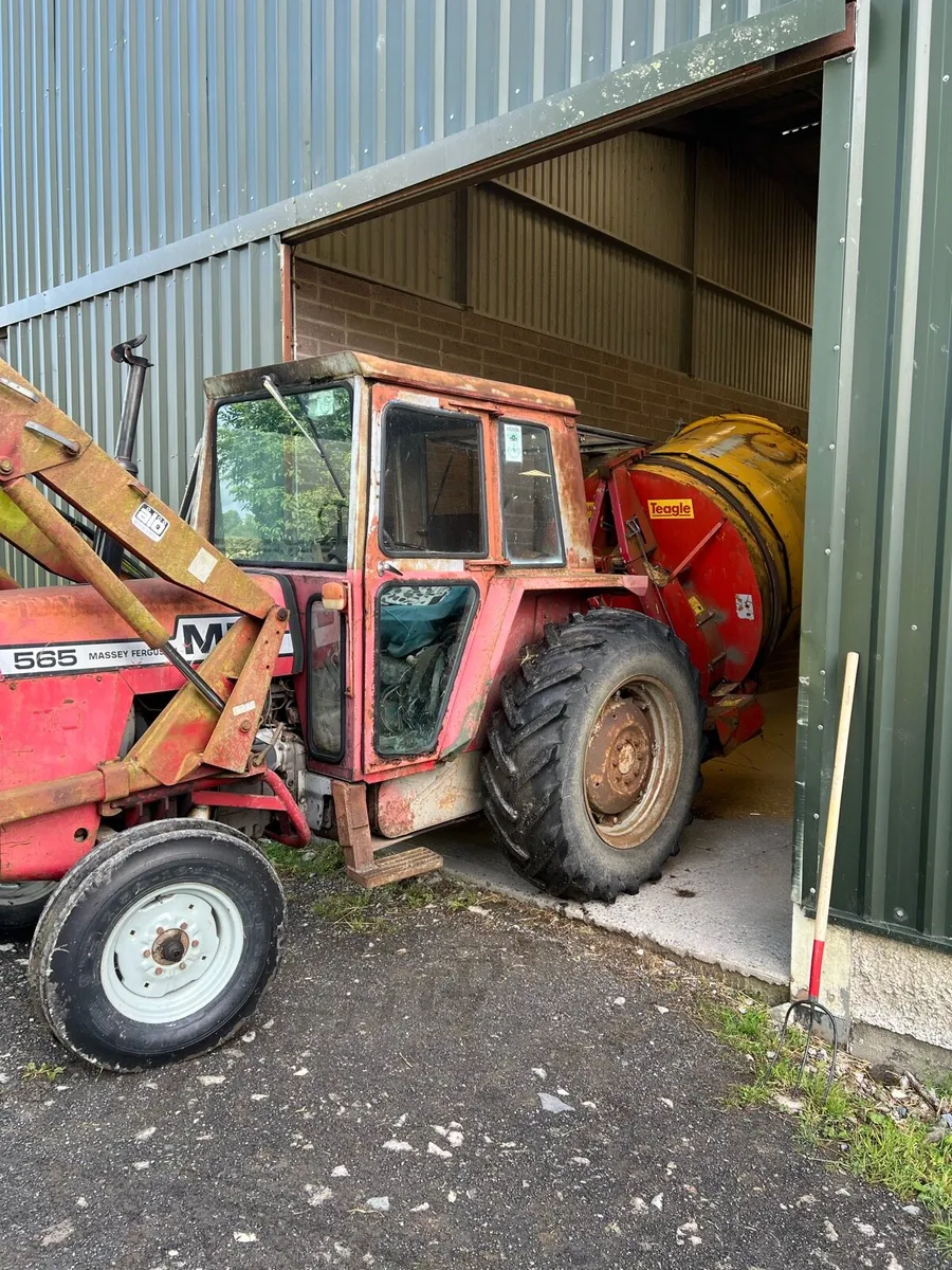 Massey Ferguson 565 - Image 1