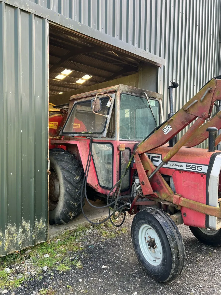 Massey Ferguson 565 - Image 2