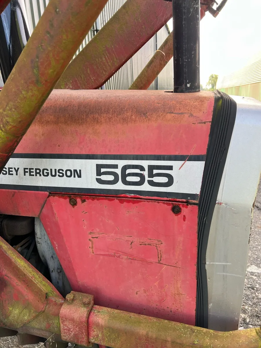 Massey Ferguson 565 - Image 3