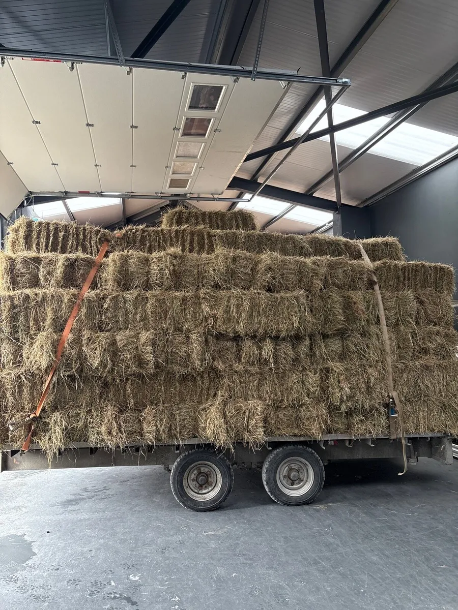 Square bales Killarney . - Image 2