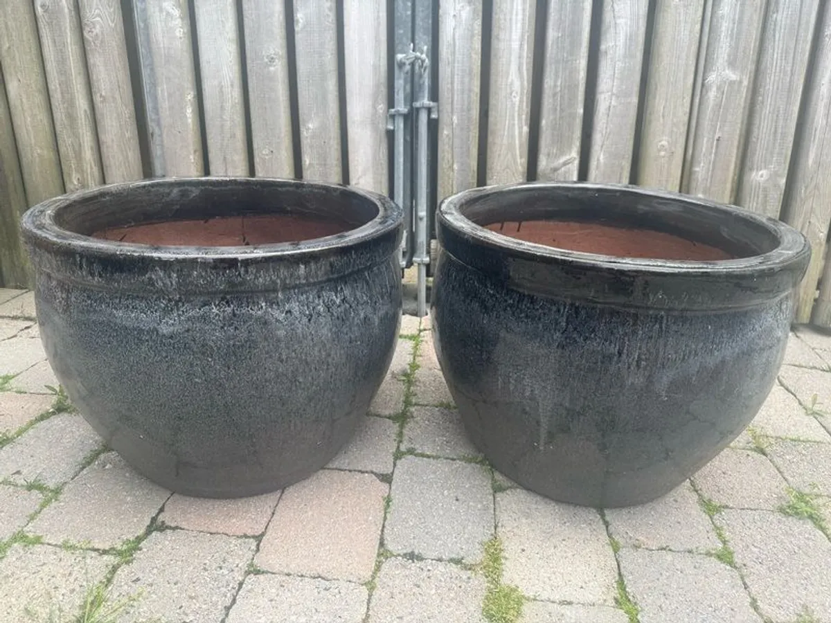 FOR SALE: Large Outdoor Ceramic plant Pots - Image 1