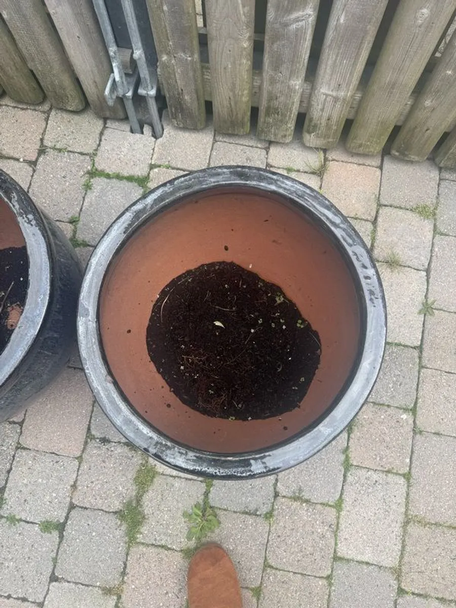 FOR SALE: Large Outdoor Ceramic plant Pots - Image 2