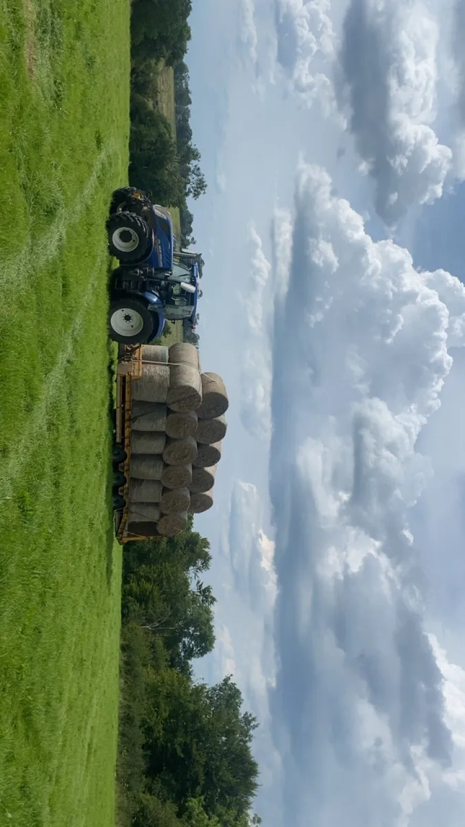Hay bales - Image 1