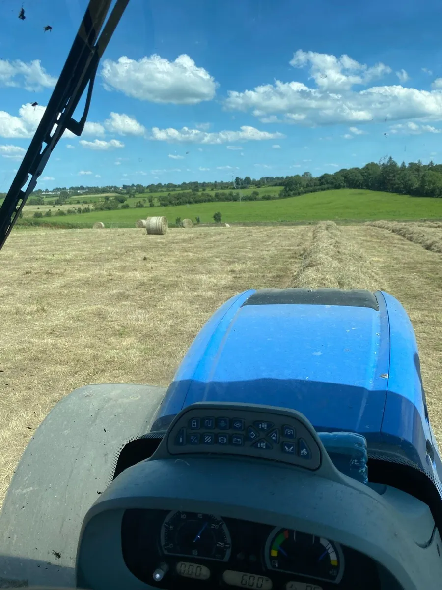 Hay bales - Image 2