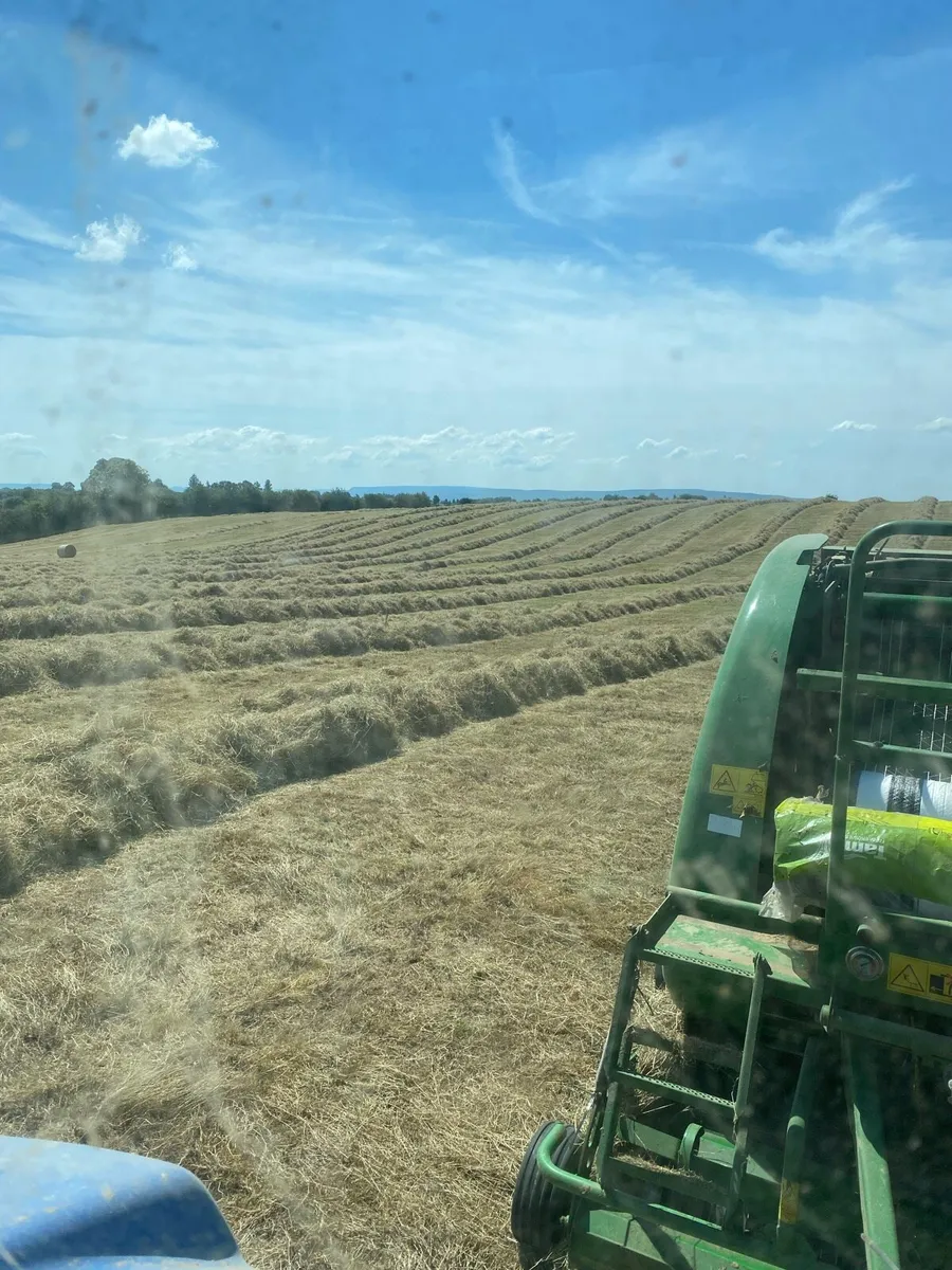 Hay bales - Image 4