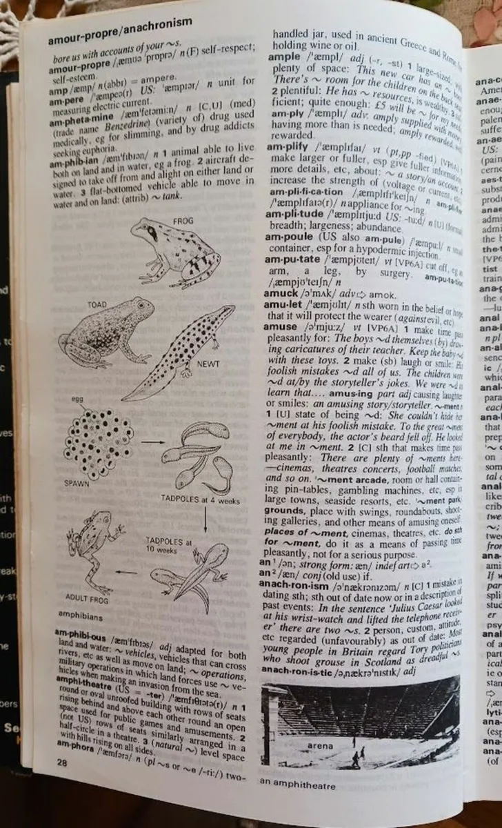 Book Oxford Advanced Dictionary of Current English - Image 3