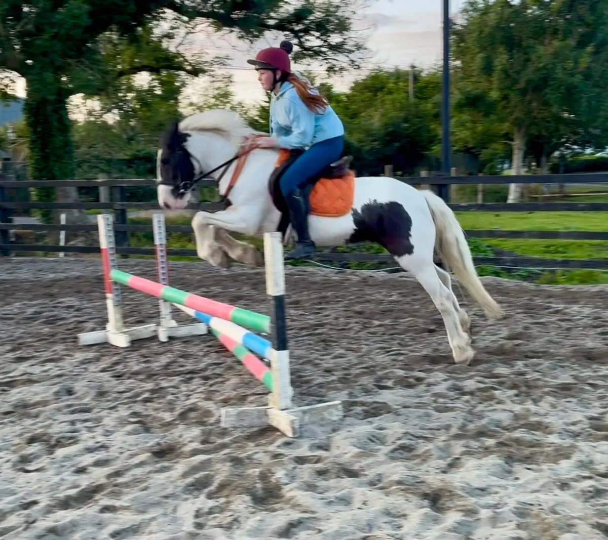 🐴⭐️ Tina ⭐️🐴 - Image 1