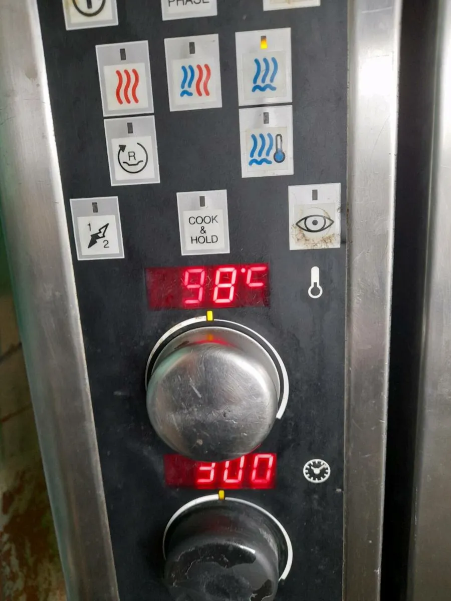Oven Electric Commercial Oven ZANUSSI 10 - Image 4