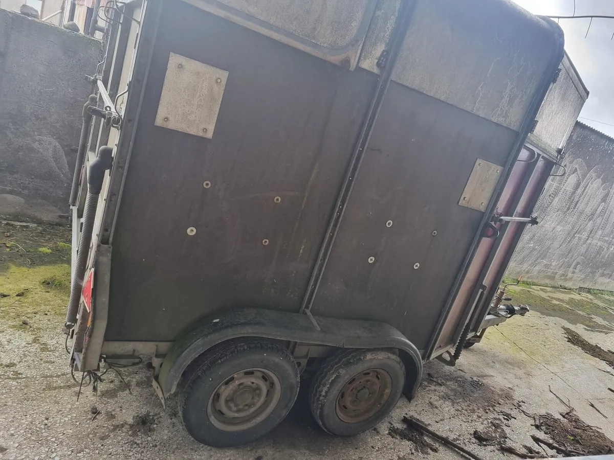 Horsebox - Image 3