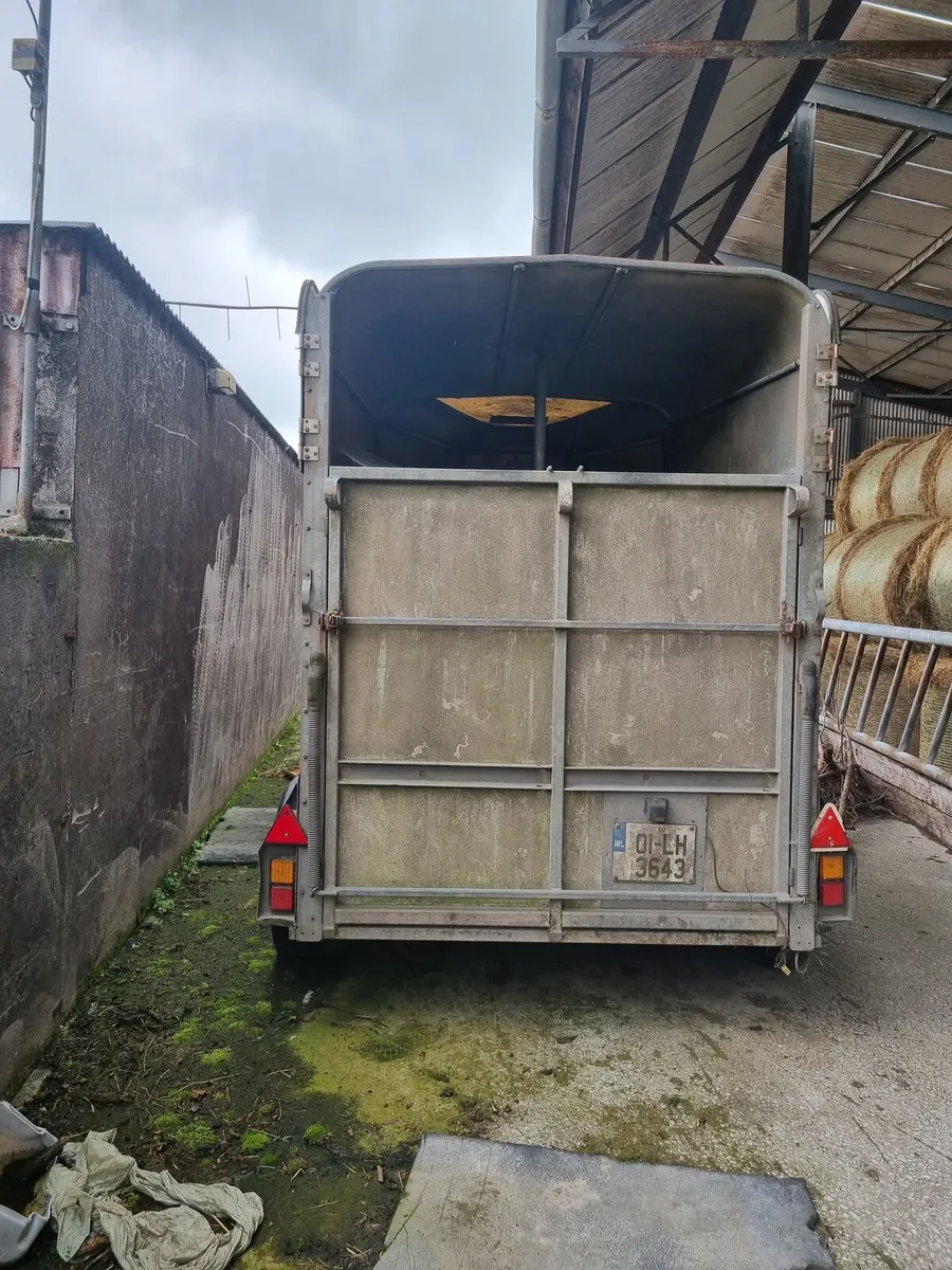 Horsebox - Image 4