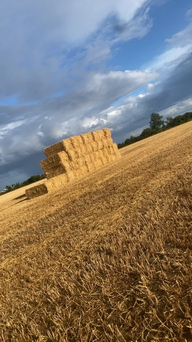 Straw - Image 2