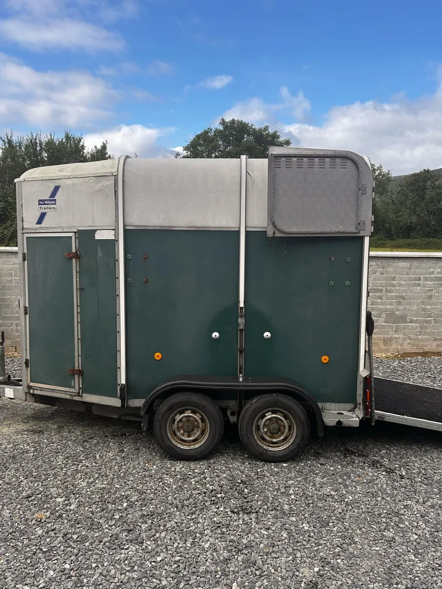 Ifor Williams 505 horsebox - Image 3