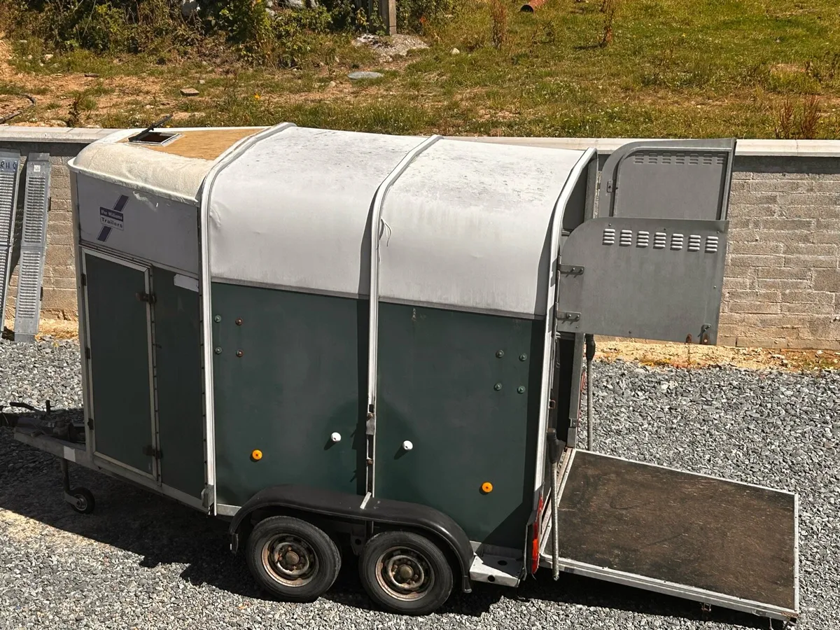 Ifor Williams 505 horsebox - Image 4