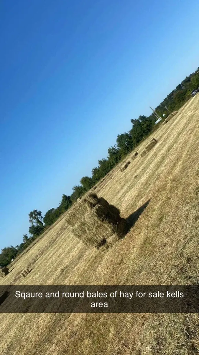 Small sqaure and round bales hay - Image 1