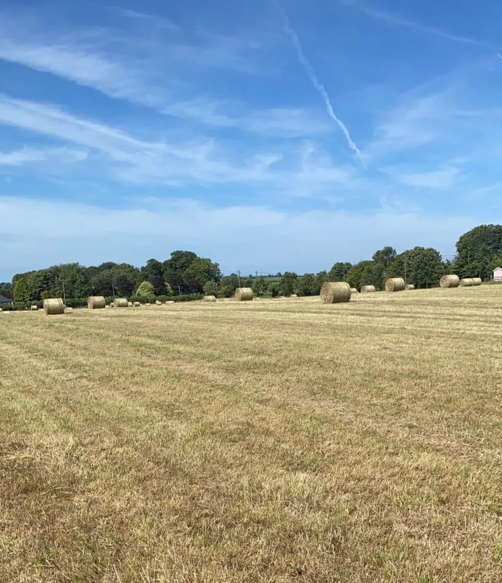 Small sqaure and round bales hay - Image 2