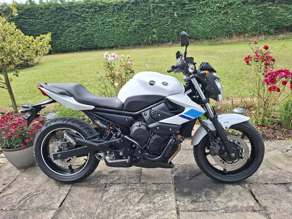 YAMAHA XJ 600 2014 - Image 1