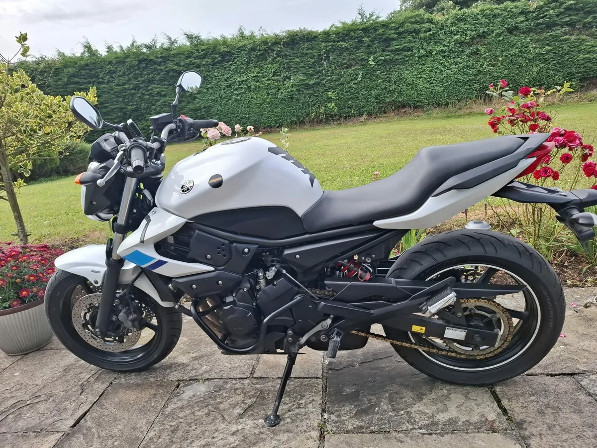 YAMAHA XJ 600 2014 - Image 2