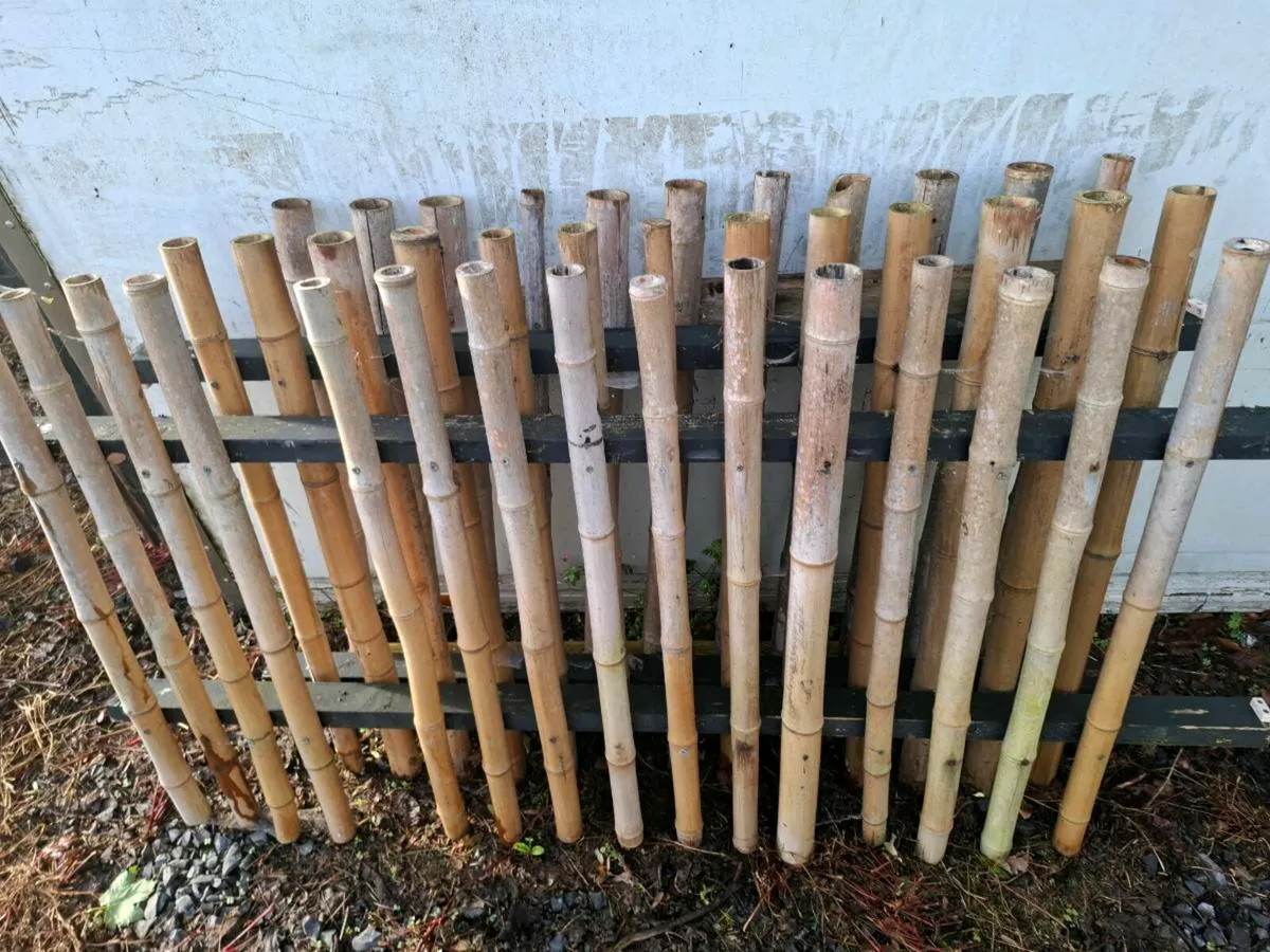 Bamboo fences - Image 4