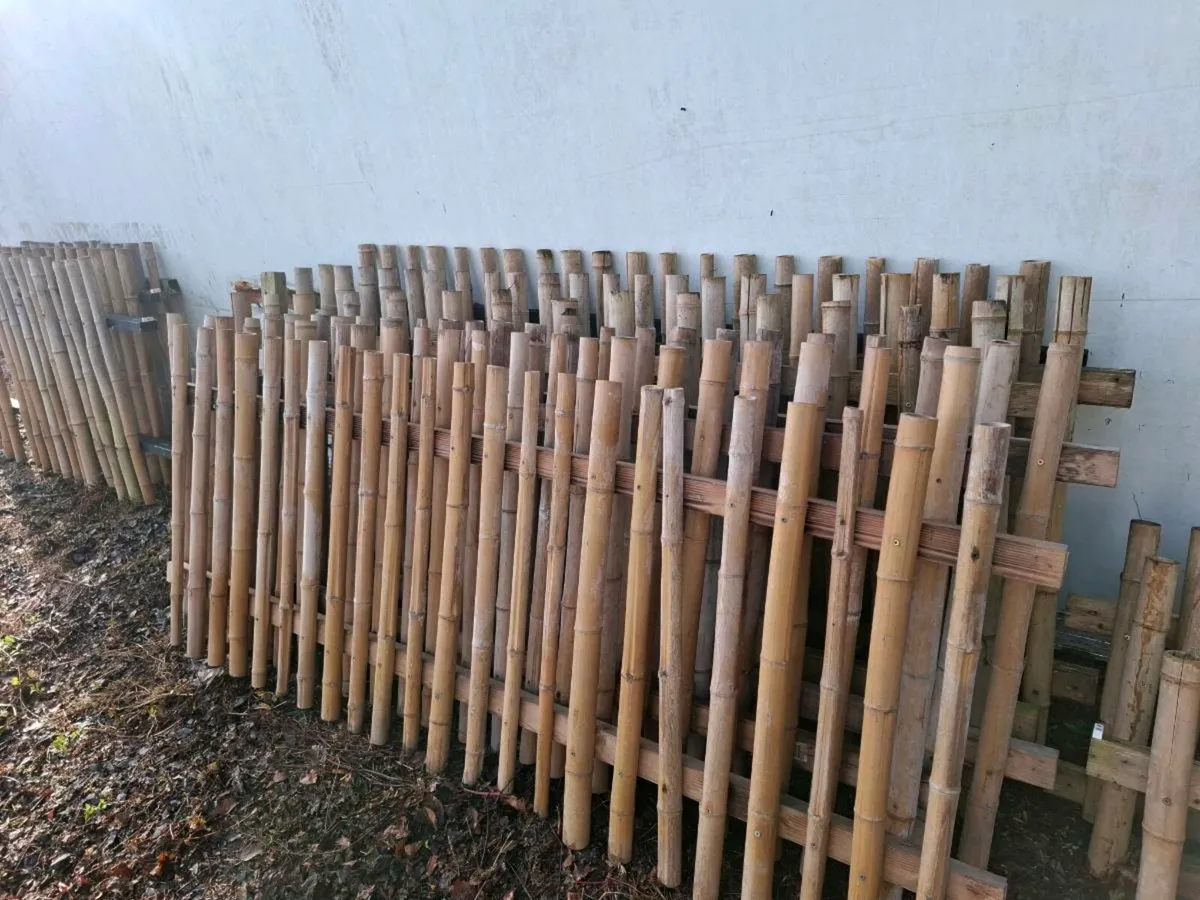 Bamboo fences - Image 1