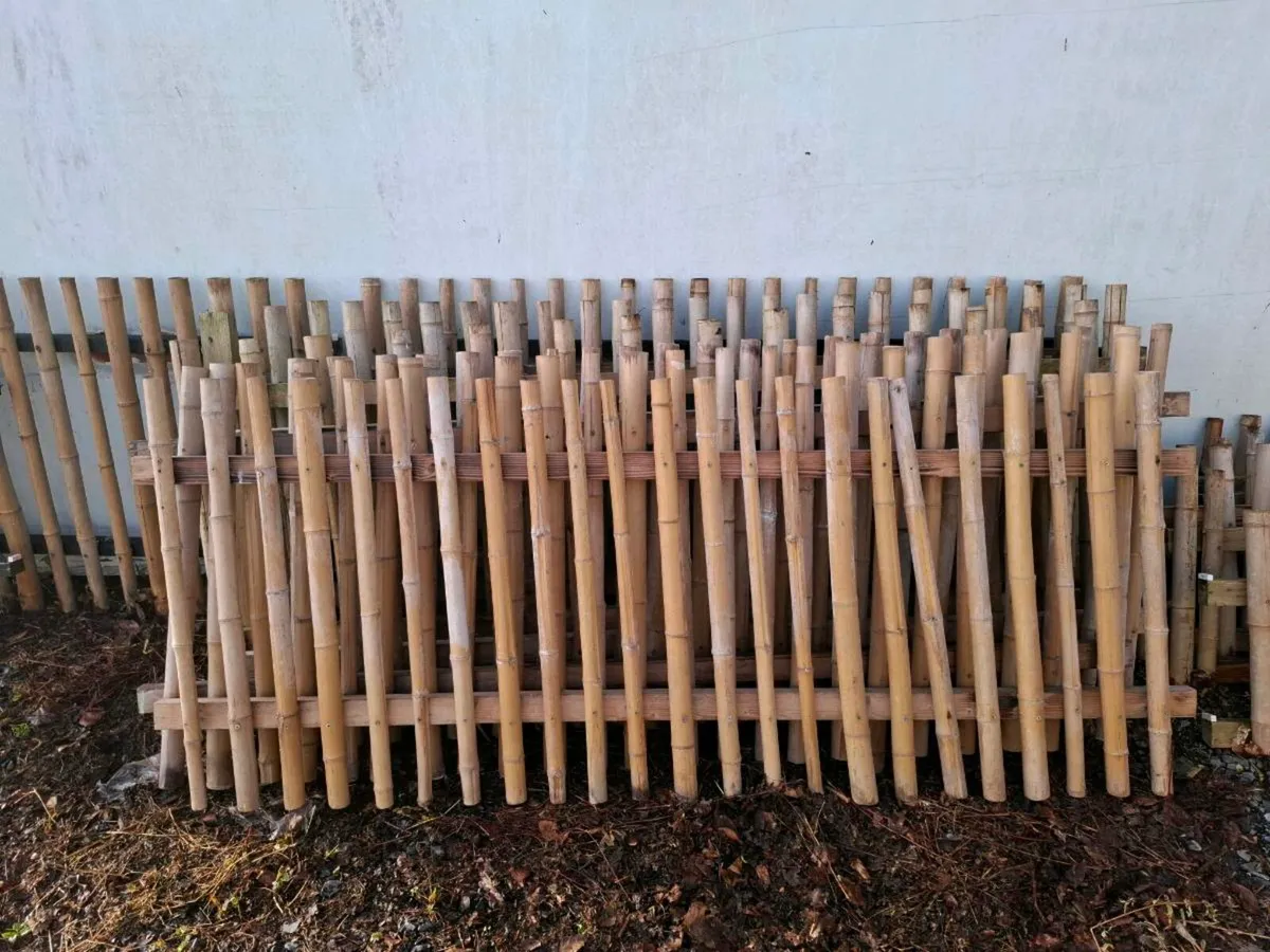 Bamboo fences - Image 3